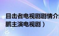 目击者电视剧剧情介绍（目击者 2007年李亚鹏主演电视剧）