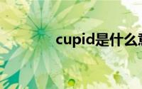 cupid是什么意思啊（Cup）