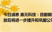 今日消息 嘉元科技：目前铜箔行业集中度不高，新建产能释放后将进一步提升和巩固公司产品市占率