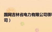 国网吉林省电力有限公司领导班子（国网吉林省电力有限公司）