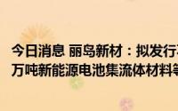 今日消息 丽岛新材：拟发行不超3亿元可转债，加码年产8.6万吨新能源电池集流体材料等新型铝材项目