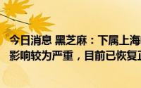 今日消息 黑芝麻：下属上海电商公司上半年经营业务受疫情影响较为严重，目前已恢复正常