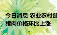 今日消息 农业农村部：8月22日-28日生猪和猪肉价格环比上涨