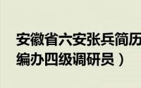 安徽省六安张兵简历（张用 安徽省六安市委编办四级调研员）