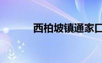 西柏坡镇通家口村（西柏坡镇）