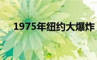 1975年纽约大爆炸（1835年纽约大火）