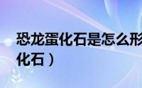 恐龙蛋化石是怎么形成的（恐龙蛋 古代生物化石）