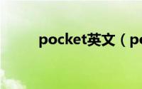 pocket英文（pocket 英语单词）