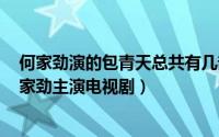 何家劲演的包青天总共有几部（包青天 1993年金超群、何家劲主演电视剧）