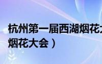 杭州第一届西湖烟花大会（中国杭州西湖国际烟花大会）