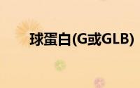 球蛋白(G或GLB)（球蛋白G或GLB）