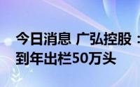 今日消息 广弘控股：公司生猪产能将逐步达到年出栏50万头