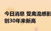 今日消息 受禽流感影响，日本3月鸡蛋批发价创30年来新高