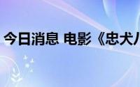 今日消息 电影《忠犬八公》票房突破7000万