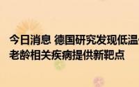 今日消息 德国研究发现低温促进长寿的分子机制，或为治疗老龄相关疾病提供新靶点