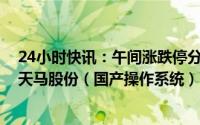 24小时快讯：午间涨跌停分析：29只涨停股，5只跌停股，天马股份（国产操作系统）7天3板