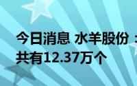 今日消息 水羊股份：水羊转债网上中签号码共有12.37万个