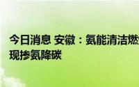 今日消息 安徽：氨能清洁燃烧发电取得突破，煤电机组将实现掺氨降碳