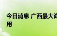 今日消息 广西最大海气登陆管道项目正式投用