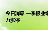 今日消息 一季报业绩高增长股大涨，春风动力涨停