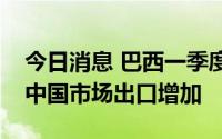 今日消息 巴西一季度咖啡出口总量下降，对中国市场出口增加