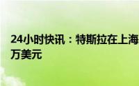 24小时快讯：特斯拉在上海成立新能源公司，注册资本200万美元