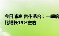 今日消息 贵州茅台：一季度归母净利润205.2亿元左右，同比增长19%左右