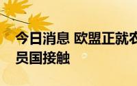 今日消息 欧盟正就农产品进口禁令与相关成员国接触