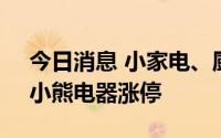 今日消息 小家电、厨卫电器板块盘初活跃，小熊电器涨停