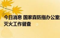 今日消息 国家森防指办公室组织开展春防紧要期森林草原防灭火工作督查