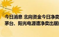 今日消息 北向资金今日净卖出38.28亿元，宁德时代、贵州茅台、阳光电源遭净卖出居前