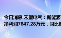 今日消息 禾望电气：新能源电控业务收入增加，一季度归母净利润7847.28万元，同比增长17.17%