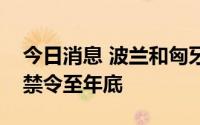 今日消息 波兰和匈牙利欲延长乌克兰农产品禁令至年底