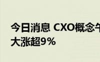 今日消息 CXO概念午前异动拉升，康龙化成大涨超9%