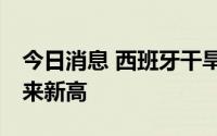 今日消息 西班牙干旱，橄榄油价格抬至26年来新高