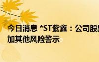 今日消息 *ST紫鑫：公司股票交易被实施退市风险警示及叠加其他风险警示