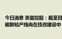 今日消息 浙富控股：截至目前，精制硫酸镍产线已经投产，硫酸钴产线尚在技改建设中