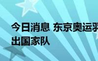 今日消息 东京奥运羽球混双冠军王懿律已退出国家队