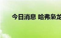 今日消息 哈弗枭龙系列车型正式上市