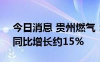 今日消息 贵州燃气：4月营收4.6亿元左右，同比增长约15%