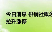 今日消息 供销社概念股走强，中农联合直线拉升涨停