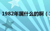 1982年属什么的啊（1982年属什么多大了）