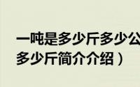 一吨是多少斤多少公斤（一吨多少斤 一吨是多少斤简介介绍）