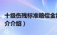 十级伤残标准赔偿金额（伤残十级赔偿标准简介介绍）