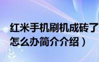 红米手机刷机成砖了怎么办（红米2刷机变砖怎么办简介介绍）