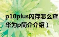 p10plus闪存怎么查（华为p10闪存怎么检测华为p简介介绍）