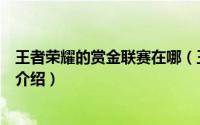 王者荣耀的赏金联赛在哪（王者荣耀赏金联赛哪里去了简介介绍）