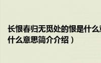 长恨春归无觅处的恨是什么意思（长恨春归无觅处的春归是什么意思简介介绍）