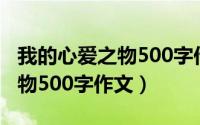 我的心爱之物500字作文小兔子（我的心爱之物500字作文）