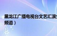 黑龙江广播电视台文艺汇演分会场（黑龙江广播电视台文体频道）